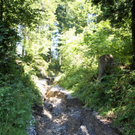 Hochwasser Pfaender Schaeden NACH 12-08-2010 _15__jpg-1281440543