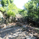 Hochwasser Pfaender Schaeden NACH 12-08-2010 _34__jpg-1281440869