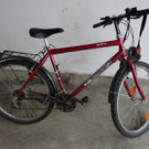 PI Hainburg Citybike.JPG