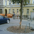 IMG00017-20100810-1858.jpg