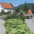 Blumeninseln