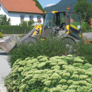 Blumenklau Aufruf _4__jpg-1281508023