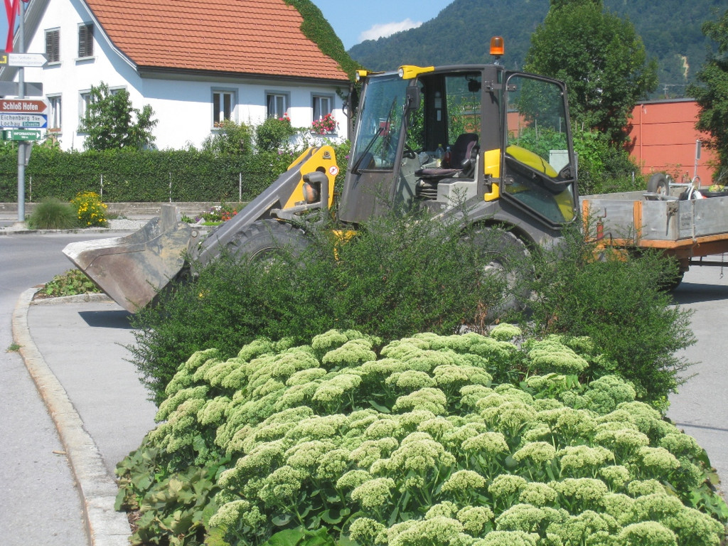 Blumenklau Aufruf _4__jpg-1281508023