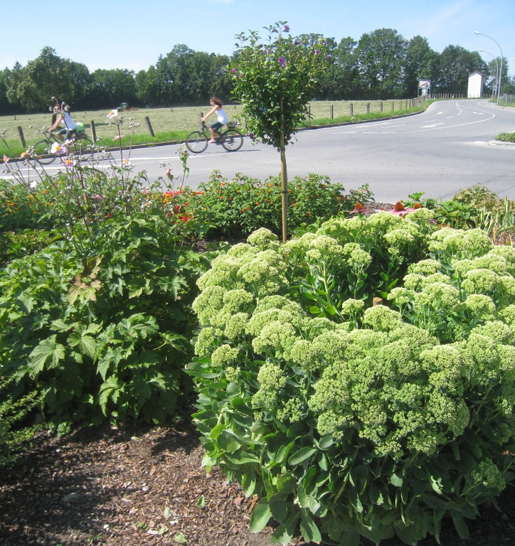 Blumenklau Aufruf _1__jpg-1281507976