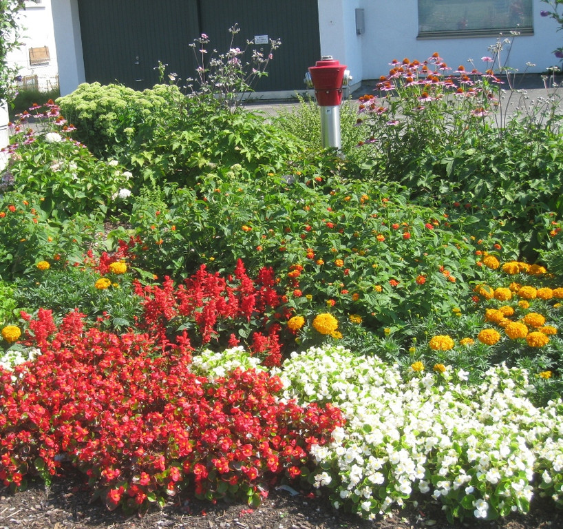 Blumenklau Aufruf _3__jpg-1281508007