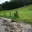 normal_100810muregmaktivnews_20_15_.jpg