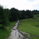 normal_100810muregmaktivnews_20_8_.jpg