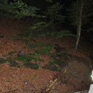 10082010vuperachfibaktivnews_20_9_.jpg