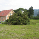 IMG_3225 _Large__JPG-1281532723