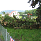 IMG_3230 _Large__JPG-1281532745