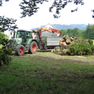 IMG_3231 _Large__JPG-1281532750