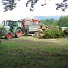 IMG_3234 _Large__JPG-1281532761