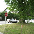 IMG_3238 _Large__JPG-1281532716