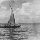 segeln3_web_jpg-1281543804