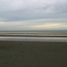 nsg_rheindelta_rohrspitz1_3_jpg-1281544429