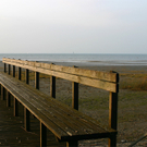 nsg_rheindelta_rohrspitz1_4_jpg-1281544439