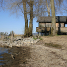 nsg_rheindelta_rohrspitz1_5_jpg-1281544447