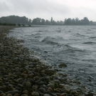 nsg_rheindelta_rohrspitz24_jpg-1281544652
