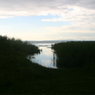 nsg_rheindelta_hochwasser1_jpg-1281544681