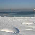 nsg_rheindelta_eismeer3_jpg-1281545634