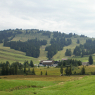 P8110033_JPG-1281550479