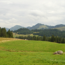 P8110034_JPG-1281550689