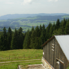 P8110053_JPG-1281551034