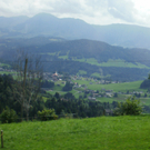 P8110059.JPG