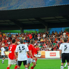 3730252.jpg