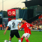 3730267.jpg