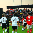 3730281.jpg