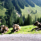 IMG_3612.jpg