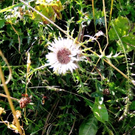 IMG_3616.jpg