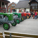 3733509.jpg