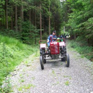 3733514.jpg