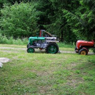 3733541.jpg