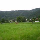 3733613.jpg