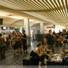 3741495.jpg