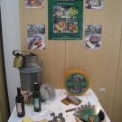 LLWB GastroGlobe 2009 _20_.jpg