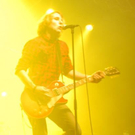 3731729.jpg