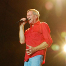 3731786.jpg