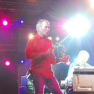 3731790.jpg