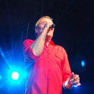 3731844.jpg
