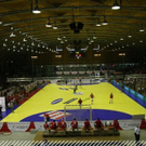 3733120.jpg