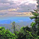 panamarama_rbvn_487182549.jpg