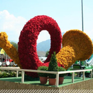 3738061.jpg