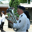3738064.jpg