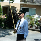 3738157.jpg