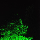 3743722.jpg