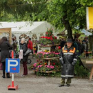 Tierausstellung in Höchst